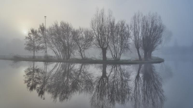 Foto 644591818